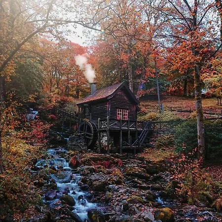 Exclusive In Idyllic Street *